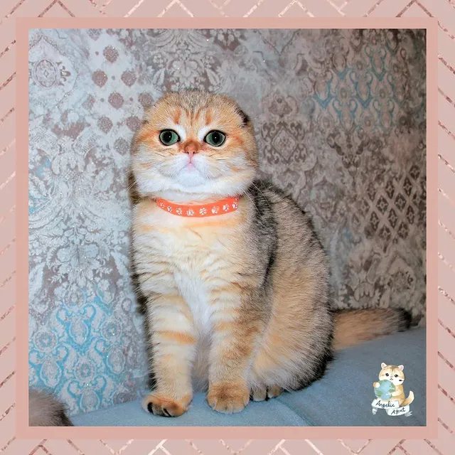 482941487_18310301992229995_3299790152185226198_n.