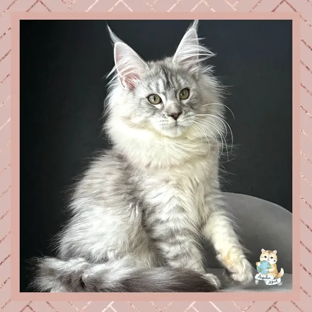 485116008_18311685601229995_7148957702374769920_n.