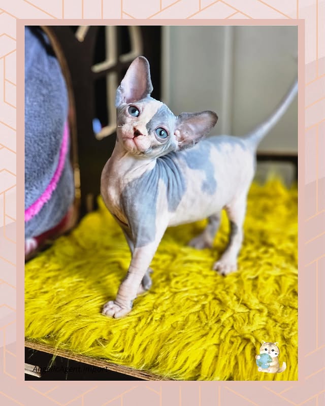 502140083_18320149333229995_8653849621071611418_n.