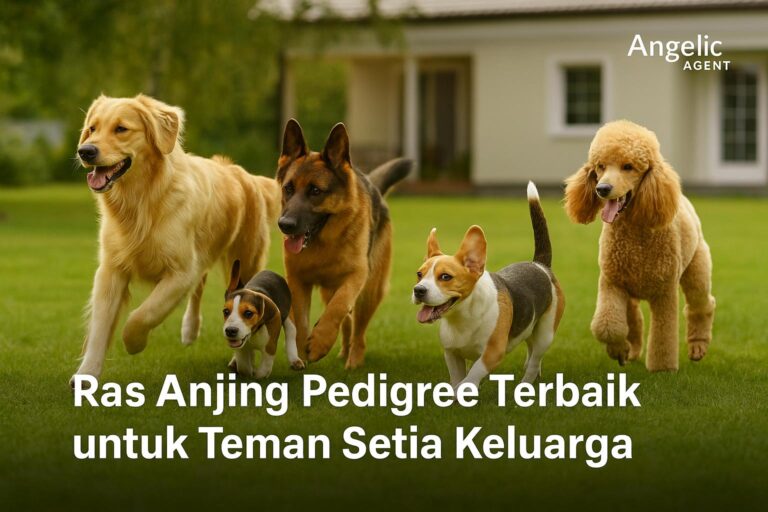 Ras Anjing Pedigree Terbaik untuk Teman Setia Keluarga