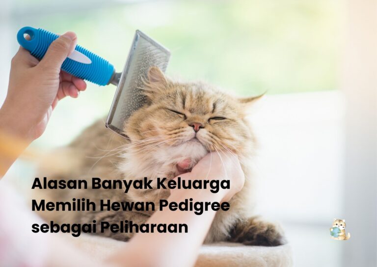 Alasan Banyak Keluarga Memilih Hewan Pedigree sebagai Peliharaan