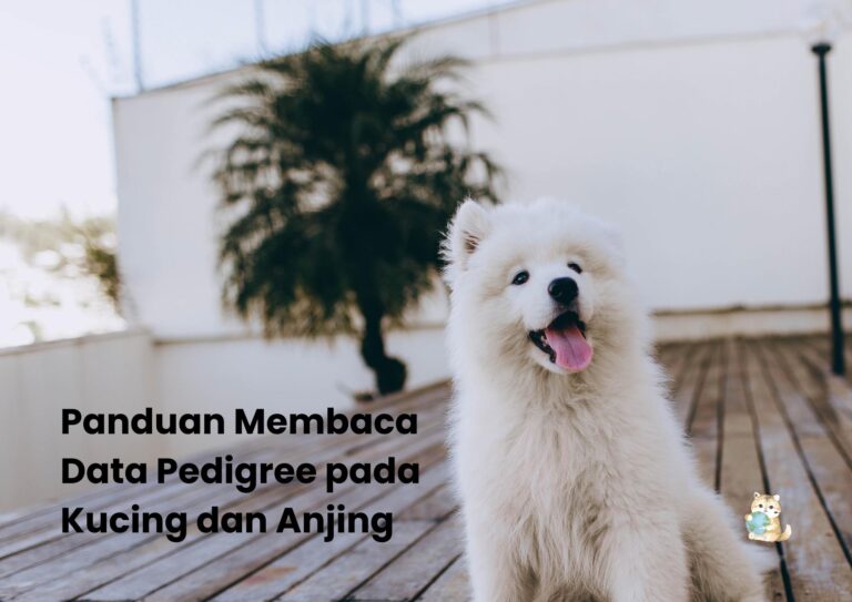 Panduan Membaca Data Pedigree pada Kucing dan Anjing